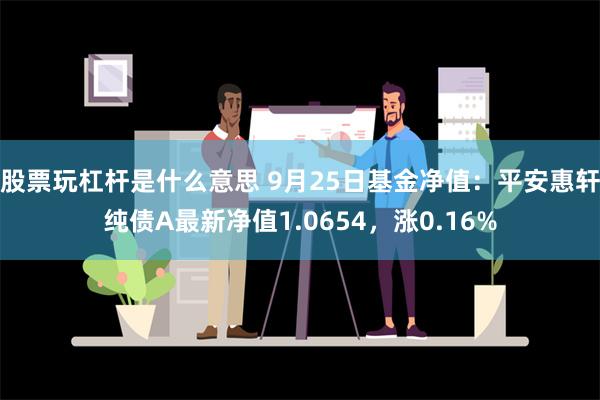 股票玩杠杆是什么意思 9月25日基金净值：平安惠轩纯债A最新净值1.0654，涨0.16%