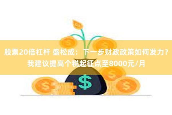 股票20倍杠杆 盛松成：下一步财政政策如何发力？我建议提高个