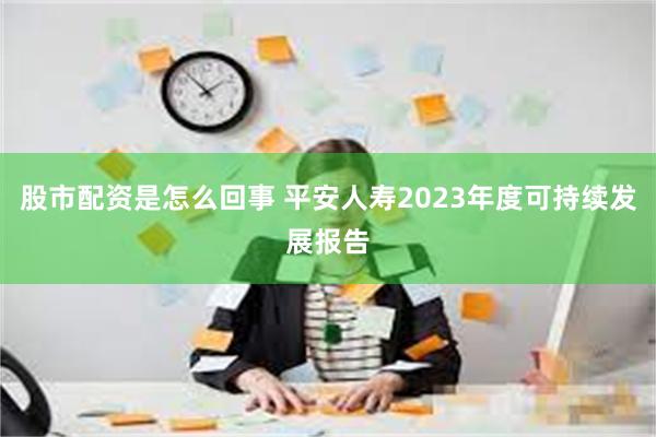 股市配资是怎么回事 平安人寿2023年度可持续发展报告