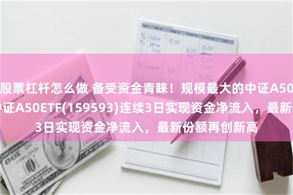 股票杠杆怎么做 备受资金青睐！规模最大的中证A50ETF——