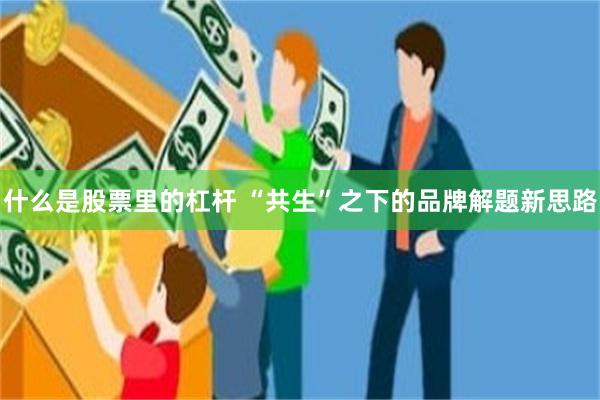 什么是股票里的杠杆 “共生”之下的品牌解题新思路