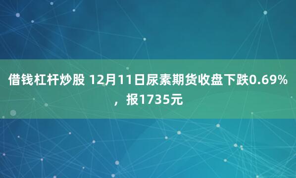 借钱杠杆炒股 12月11日尿素期货收盘下跌0.69%，报1735元