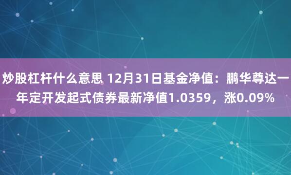 炒股杠杆什么意思 12月31日基金净值：鹏华尊达一年定开发起式债券最新净值1.0359，涨0.09%