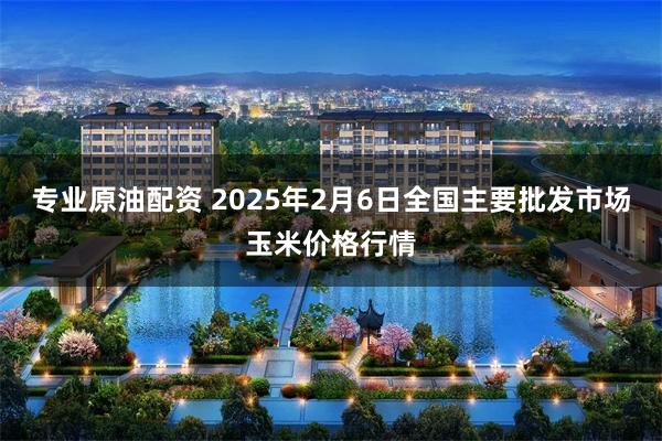 专业原油配资 2025年2月6日全国主要批发市场玉米价格行情