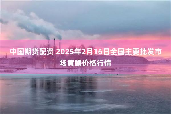 中国期货配资 2025年2月16日全国主要批发市场黄鳝价格行情