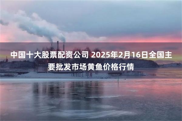 中国十大股票配资公司 2025年2月16日全国主要批发市场黄鱼价格行情