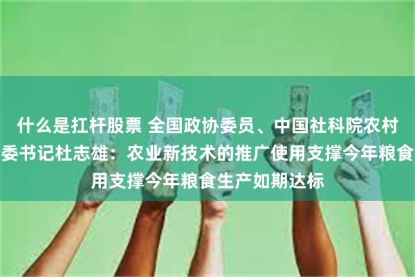 什么是扛杆股票 全国政协委员、中国社科院农村发展研究所党委书记杜志雄：农业新技术的推广使用支撑今年粮食生产如期达标