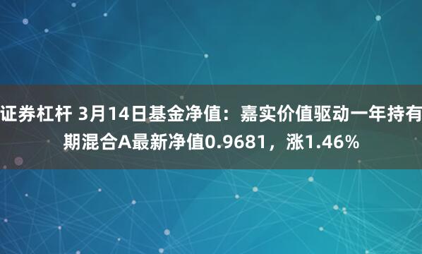 证券杠杆 3月14日基金净值：嘉实价值驱动一年持有期混合A最新净值0.9681，涨1.46%